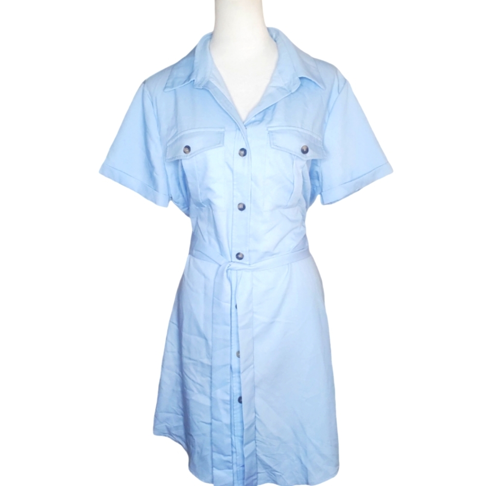 Pretty Garden Baby Blue Button Down Shirt Dress